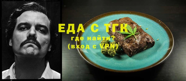 индика Кинешма