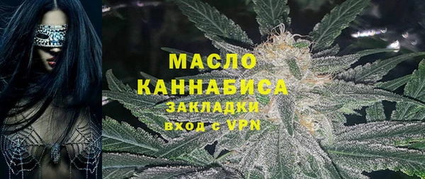 индика Кинешма