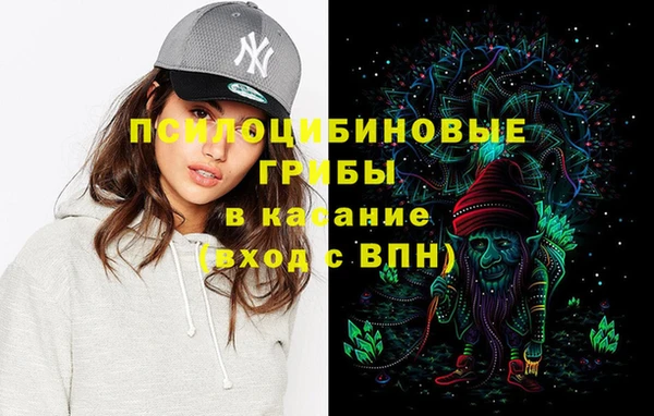 индика Кинешма