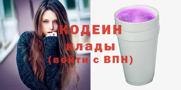 индика Кинешма