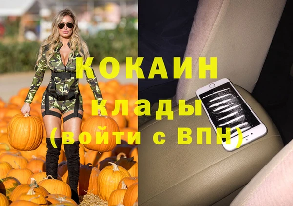 индика Кинешма