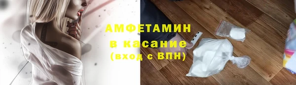 индика Кинешма