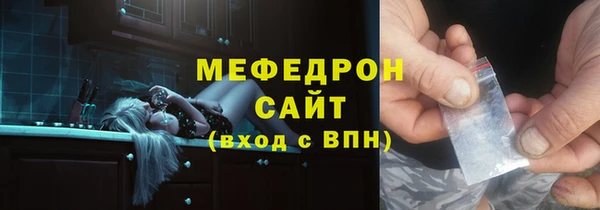 индика Кинешма