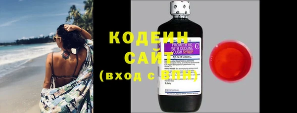 индика Кинешма