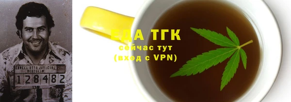 индика Кинешма
