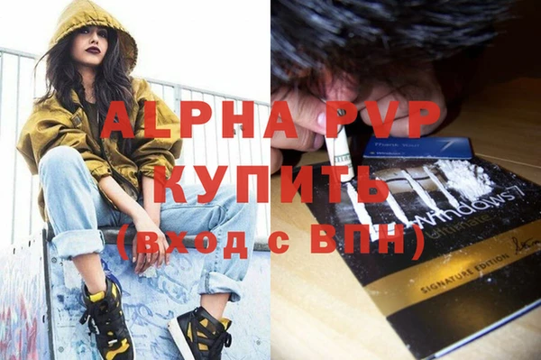 индика Кинешма