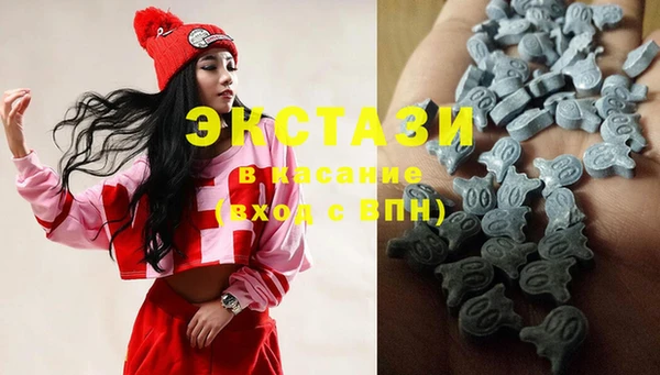 индика Кинешма