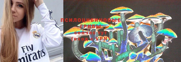 индика Кинешма