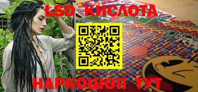 стафф Камышлов