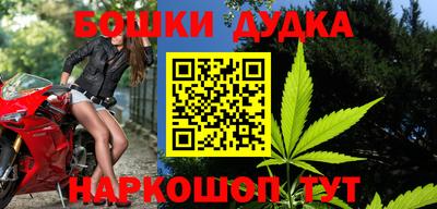 стафф Камышлов