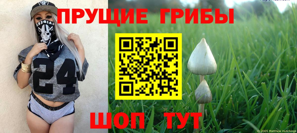 Галлюциногенные грибы Psilocybe  Псилоцибиновые грибы Cubensis  Казань  Вход с VPN 